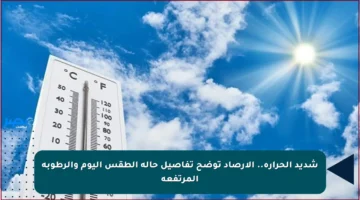 شديد الحرارة.. الأرصاد توضح تفاصيل حالة الطقس اليوم والرطوبة المرتفعة